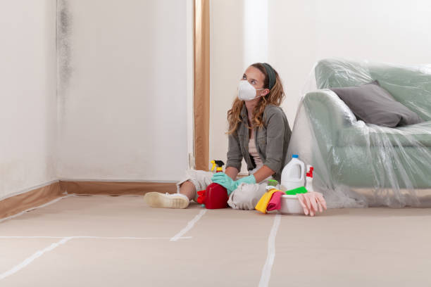 Reliable Mold Testing contractor in Glen Echo, MD by WQB Mold Removal