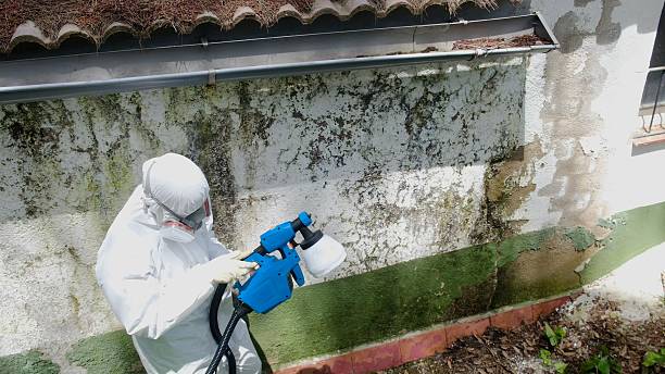 Top rated local Mold Testing specialists in Glen Echo, MD